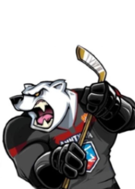 Первенство Национальной молодежной хоккейной лиги (НМХЛ)